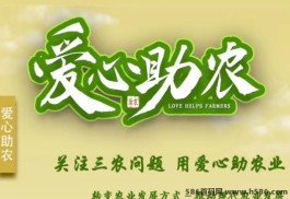 爱心助侬APP首码招募进行中，绿色发展新选择！