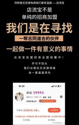 【店流宝】一键开设多家线上店铺，售卖各大电商平台商品，无货源无压力！