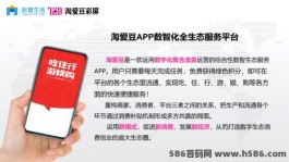 掌上淘爱豆APP：2024年热门风口趋势项目！