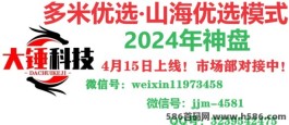 大锤优选：2024新锐项目高扶持，诚邀各大团队长合作！