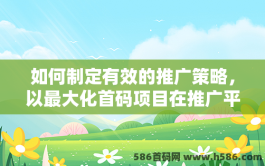 如何制定有效的推广策略，以最大化首码项目在推广平台上的影响力