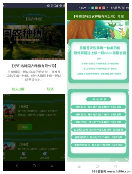 国农种植：送银杏树，实现双重创收，可撸可投！