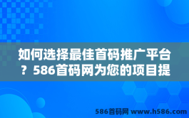 如何选择最佳首码推广平台？586首码网为您的项目提供高效曝光与精准支持