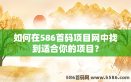 如何在586首码项目网中找到适合你的项目？