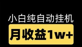 2024年自动褂机项目推荐：零投入高收溢，长期稳定副业选择！