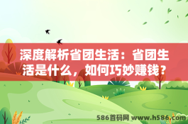 深度解析省团生活：省团生活是什么，如何巧妙赚钱？