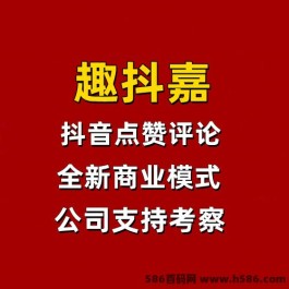 趣抖嘉公司靠什么盈利？抖音点赞评论竟可零撸、解锁高收溢新玩法！