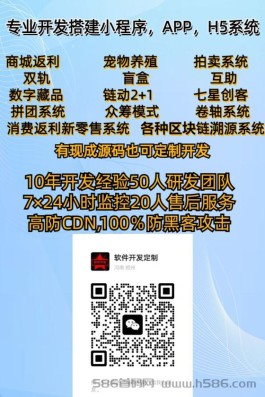 拥有15年互联网系统开发经验，专业开发小程序，DApp，竞拍系统等