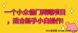 新奇乐：年末爆款项目，自动阅读，轻松收溢，全网对接一键操作！