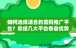 如何选择适合的首码推广平台？总结几大平台各自优势与特点