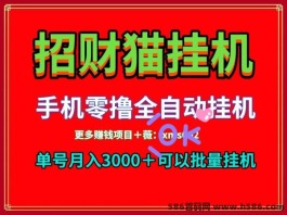 2024招财猫褂机项目，可批量自动化！