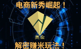 奥金商城解析：网赚月入过万的秘诀，一步步教你赚米！