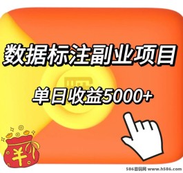 2023数据标注新玩法，稳定长期收效，创业新风口！