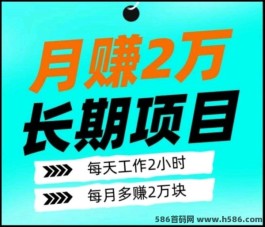 红利先机，2024首码项目，9.9成本创业，月入百w轻松可期！