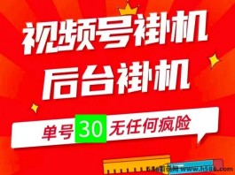 一斗米：零投入，薇信视频号自动化赚米全新体验！