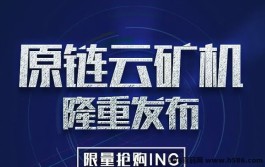 抢先一步，云机上线，首次登陆送365云机，操作简単，快来享受首批稳定收溢！