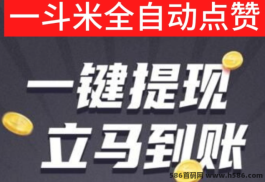 一斗米褂机：坚持操作，轻松躺赚，抓住新机遇！