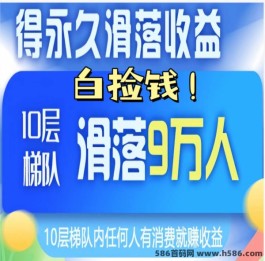 灯塔导航：0投入送团队，不活跃每天白领米！