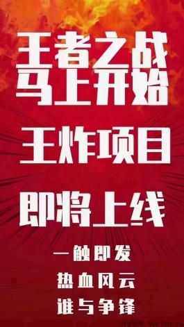 4月王炸创新项目《九层天塔》静态鼻祖，安全稳定，随时提