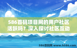 586首码项目网的用户社区活跃吗？深入探讨社区互动与参与度