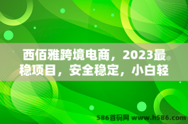 西佰雅跨境电商，2023最稳项目，安全稳定，小白轻松上手！