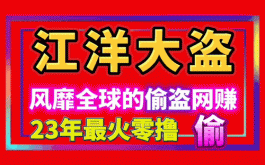 江洋大盗，23年必将火爆偷响全网的赚米。，你今天偷了吗？