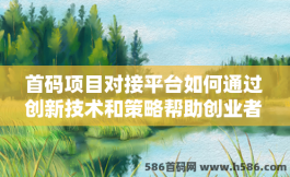 首码项目对接平台如何通过创新技术和策略帮助创业者实现商业梦想