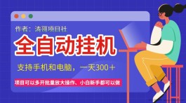 【涛哥项目社】年赚30w合伙人项目