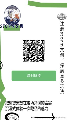 Storm文创，首发抽签，价值200+