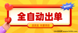 店流宝项目：快速搭建被动收入管道，月入10W+被动收益背后的故事！