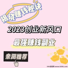 2023创业副业新风口,小白易上手，长期稳定【揭晓赚钱秘诀】