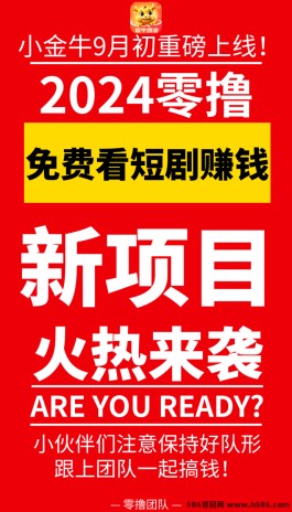 小金牛首码预热：新星项目带你走上轻松赚米之路！