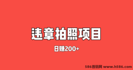 拍违章，轻松日赚百元！全新躺赚机会助你实现财富梦想！