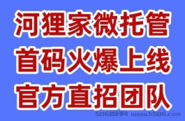 【河狸家G机】原飞翔团队打造，首码火爆来袭，速度抢占先机