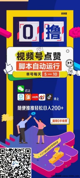 新掌盟解析：为何半年内爆火，热度持续高涨的原因是什么？