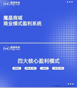 首码王者项目，魔晶商城，全网对接第一批吃肉