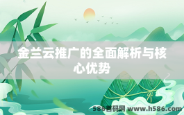 金兰云推广的全面解析与核心优势