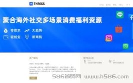 TK电商平台，适合新手小白轻投资创业的平台