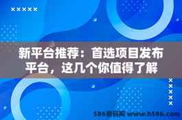 新平台推荐：首选项目发布平台，这几个你值得了解