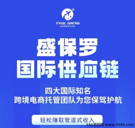 ​盛保罗国际供应链首码上线：全网对接团队长政策解析与投资指南！