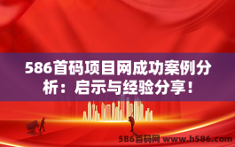 586首码项目网成功案例分析：启示与经验分享！