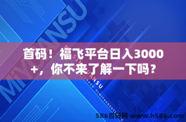 首码！福飞平台日入3000+，你不来了解一下吗？