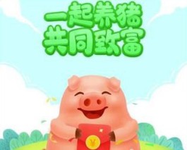 一起来养猪：真的可以赚钱吗？实战经验分享与分析！