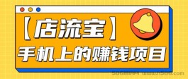 【店流宝】手机上的赚钱副业，一天1000+，月入3万多，看似不起眼，但闷声赚钱的不少。