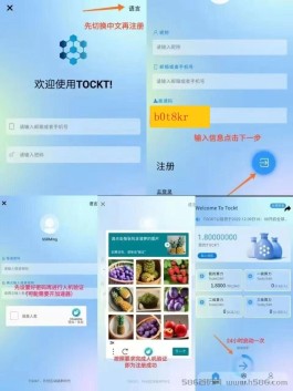 TOCKT公有链,24小时收一次k