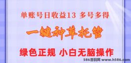 利用AI智剪，在dy、视频号、快手发视频轻松实现赚米梦想，创新平台引领行业新风尚！