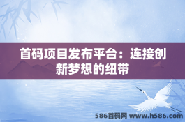 首码项目发布平台：连接创新梦想的纽带