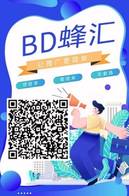 BD蜂汇：新地推，积分变现，独立后台，10元起提