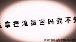 24创新数字商城时代的商机：普通人的快速变现之道！