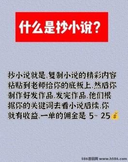 抄小说：利用手机副业轻松赚米攻略！一部手机就能做！